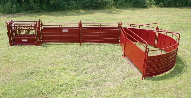 cattle chute