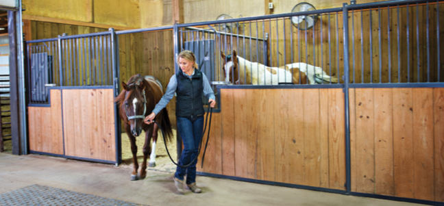 Modular Horse Stalls